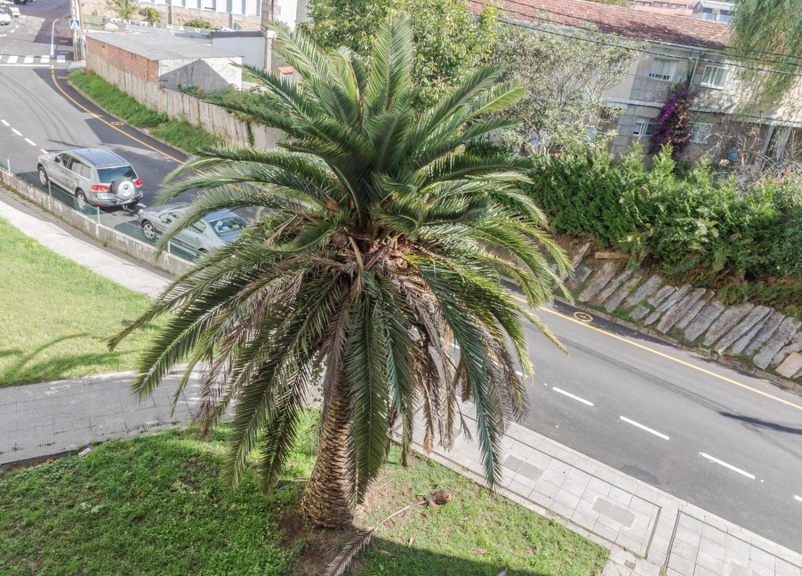 Apartamento Peces De Madera Sanxenxo Exterior foto